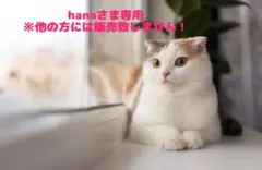 hana様専用 ※他の方には販売致しません。