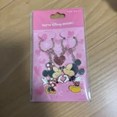 2026年最新】東京ディズニーリゾート キャラクターグッズ キーホルダー