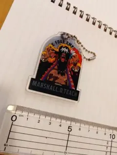 ONE PIECE　黒ひげ　ティーチ　アクリルキーホルダー