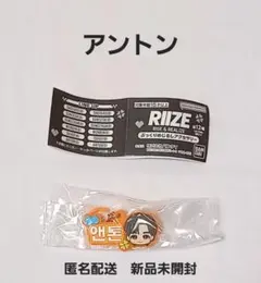 RIIZE アントン キーホルダー　チャニョン　ぷっくりめじるしアクセサリー