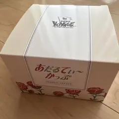 【未開封】なにわ男子 あだるてぃ〜かっぷ