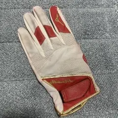 Mizuno pro ミズノプロ 守備用手袋 Lサイズ