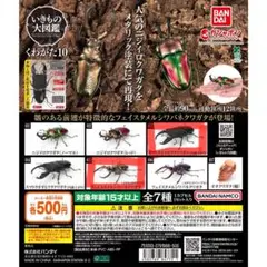 いきもの大図鑑　スマトラオオヒラタクワガタ&フェイスメタルシワバネクワガタ