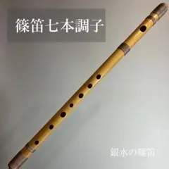 2025年最新】横笛の人気アイテム - メルカリ