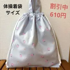 1093【おまとめ割不可】いちご柄体操着袋