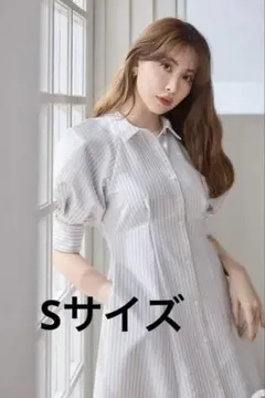 herlipto Volume Sleeve Stripe Dress トープ - メルカリ