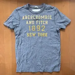 Abercrombie & Fitch Tシャツ Lサイズ グレー