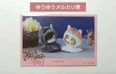 るかっぷ　入場特典　ポストカード　フライヤー　ハイキュー　黒尾　孤爪