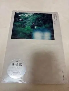 Item thumbnail for item 794d898c-7fc6-4f3c-87f4-6a513984c49e