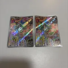 カクレオン AR 2枚セット