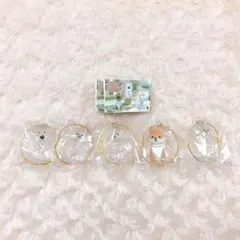 わんこのタイムカプセル 全5種 フルコンプ