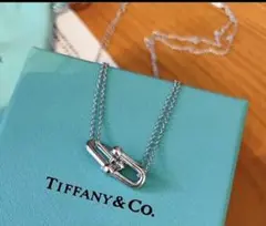 Tiffany & Co. ハードウェア