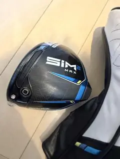 2026年最新】sim2 ドライバー レフティの人気アイテム - メルカリ