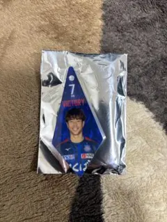 Item thumbnail for item 146cf1c4-2cae-4ea8-9b29-5ff6bfb8cc3f