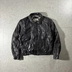 Item thumbnail for item 1ef9df20-203b-44b0-a15d-d76f317c202a