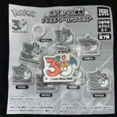ポケモン30周年 メタルチャームマスコット リザードン