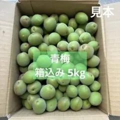 採れたて新鮮♪徳島県産⭐️青梅 5kg - メルカリ