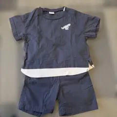 恐竜刺　半袖Tシャツ ショートパンツ セットアップのサムネイル
