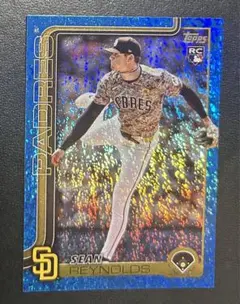 Item thumbnail for item 98cf4d31-5105-482f-9313-c011ea2bcfaa