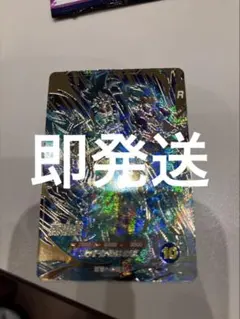 AP2-001 孫悟空 パラレル