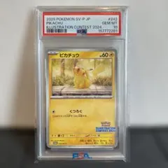 【PSA10】ピカチュウ　242 プロモ