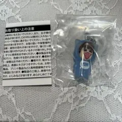 【新品未開封】なにわ男子 めじるしチャーム　藤原丈一郎　キーホルダー