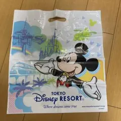 東京ディズニーリゾート ショップ袋 1枚
