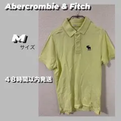 Abercrombie & Fitch men's ポロシャツ　Mサイズのサムネイル