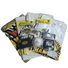 送料込・匿名配送】2003年 阪神タイガース 優勝 記念品 額入り