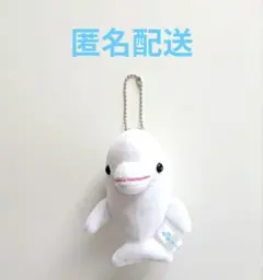 シロイルカ　ベルーガ　マスコット　水族館　ぬいぐるみのサムネイル