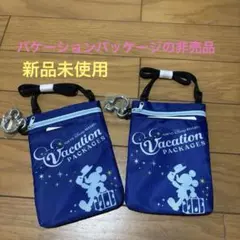 新品未使用 東京ディズニーリゾート バケーションパッケージバッグ 2個セット