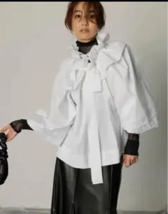 フレイアイディーブラウス