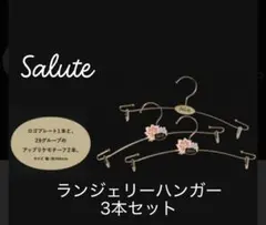 2026年最新】サルート 衣類ハンガーの人気アイテム - メルカリ