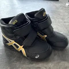 Item thumbnail for item 5228ca82-d680-40c4-82cb-83c14ba504f1