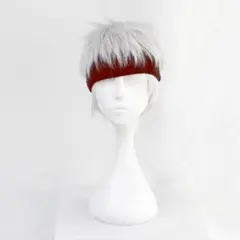 コスプレ　ウィッグ　カリム