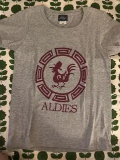 新品未使用 ☆ALDIES アールディーズ Tシャツ グレーMのサムネイル
