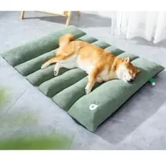 Item thumbnail for item 6a7cc9d7-63b5-4d02-85ce-a66cf284c238