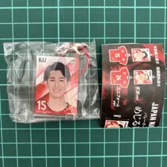 バレーボール 男子 ガチャガチャ 甲斐 めじるしチャーム