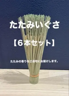 【畳のかおり】【いぐさ６本セット】畳　畳おもて　インテリア　和　リラックス