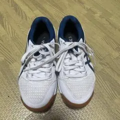 Item thumbnail for item d3662357-3318-4a46-9979-3b2f1547699c