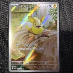 ワンパチ HP70 雷タイプ ポケモンカード