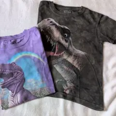 恐竜プリント Tシャツ カーキ＆パープル２枚セット
