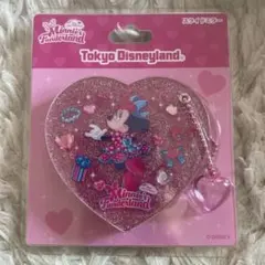 ディズニーパルパルーザ ミニーのファンダーランド　 スライドミラー