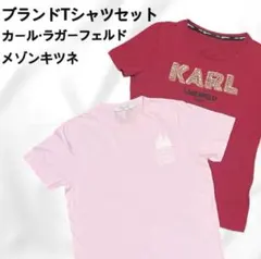 【極美品2枚】ブランドTシャツ カールラガーフェルド メゾンキツネ Mサイズのサムネイル