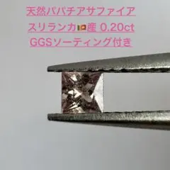 2026年最新】パパラチアの人気アイテム - メルカリ