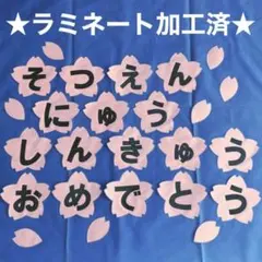 ★24時間以内発送★ 桜　卒園　入園　進級　おめでとう　約13.5㎝　ラミ有