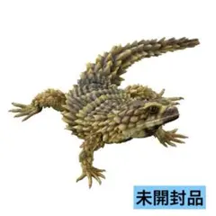 いきもの大図鑑アドバンス アルマジロトカゲ 新色のサムネイル