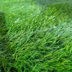 Irina様 リクエスト 2点 まとめ商品