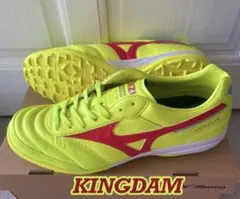 日本未発売！新品 ミズノ モレリア サラ エリートTF 25.5cm