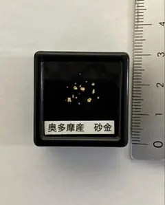土肥金山 砂金 10粒 - メルカリ